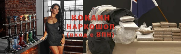 дживик Гусев