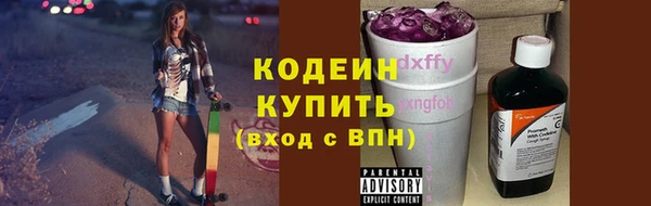 сатива Гусь-Хрустальный