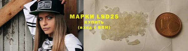 дживик Гусев