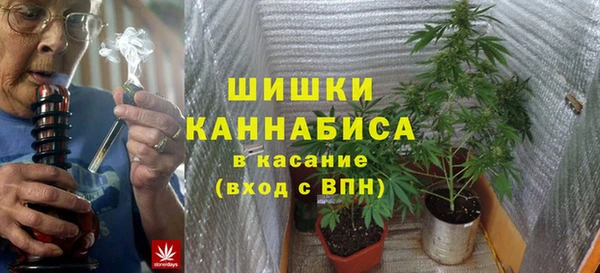 дживик Гусев