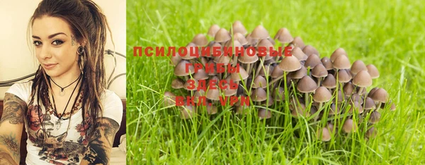 сатива Гусь-Хрустальный